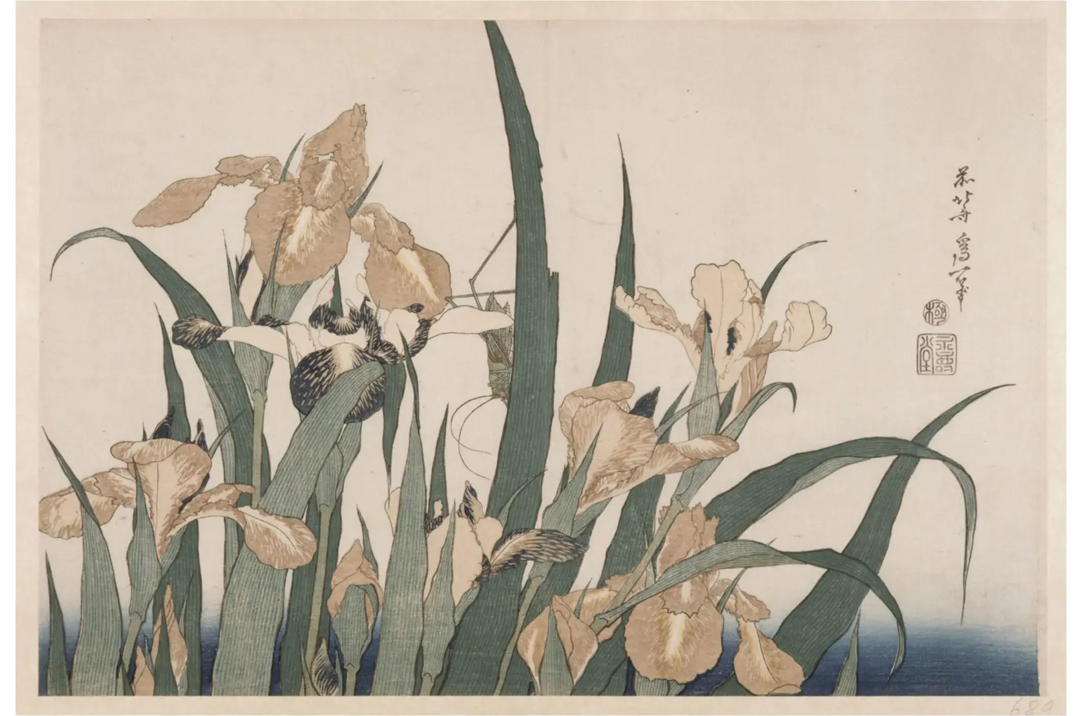 葛饰北斋,《鸢尾花》,选自《大花卉》系列,日本江户时代(1603-1868),1833-1834 年,巴黎,国立亚洲艺术博物馆——吉美博物馆。